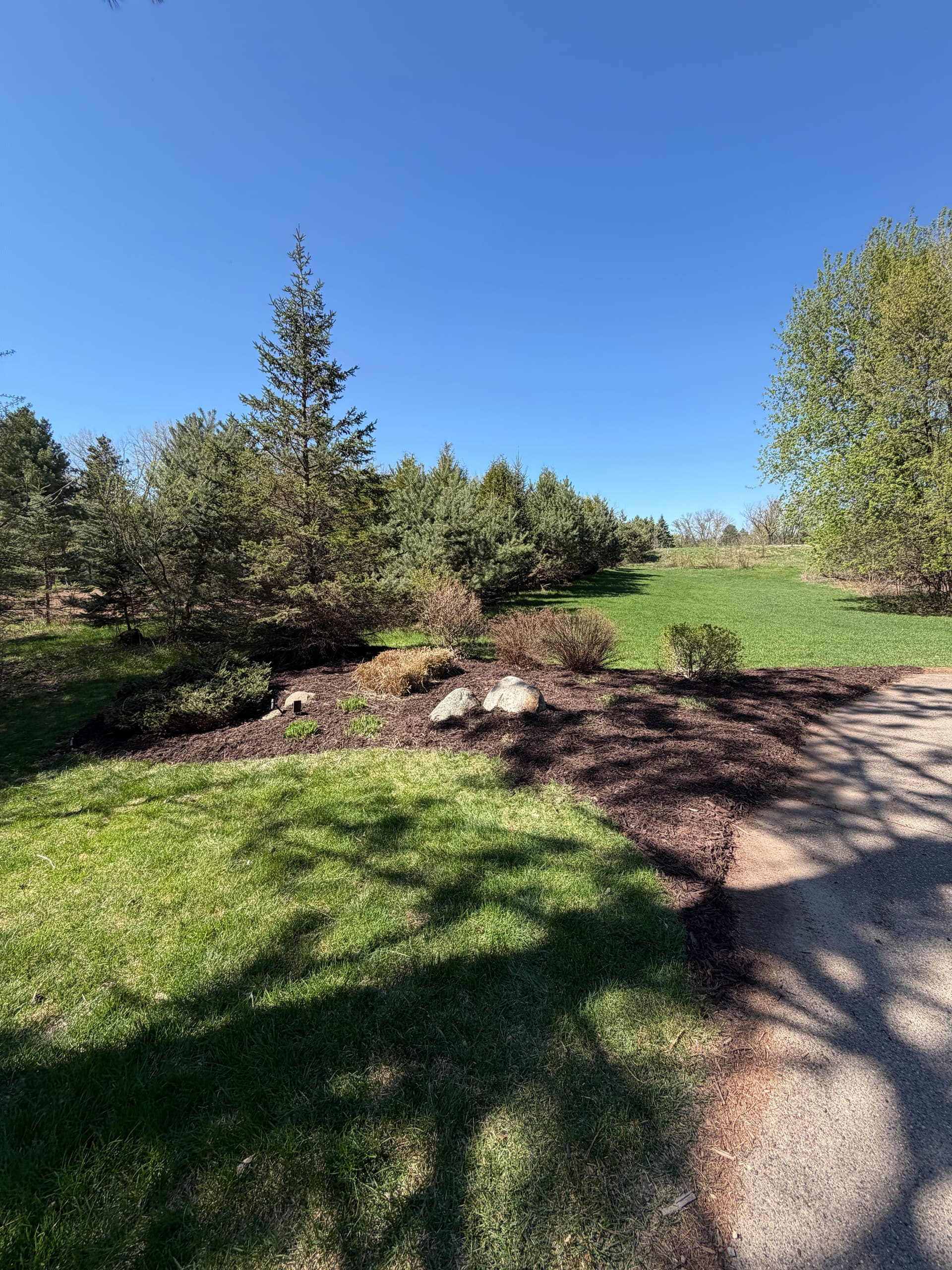 Gallery photos for Spring Cleanup and Fresh Mulch Installation That Actually Makes a Difference: Image #1