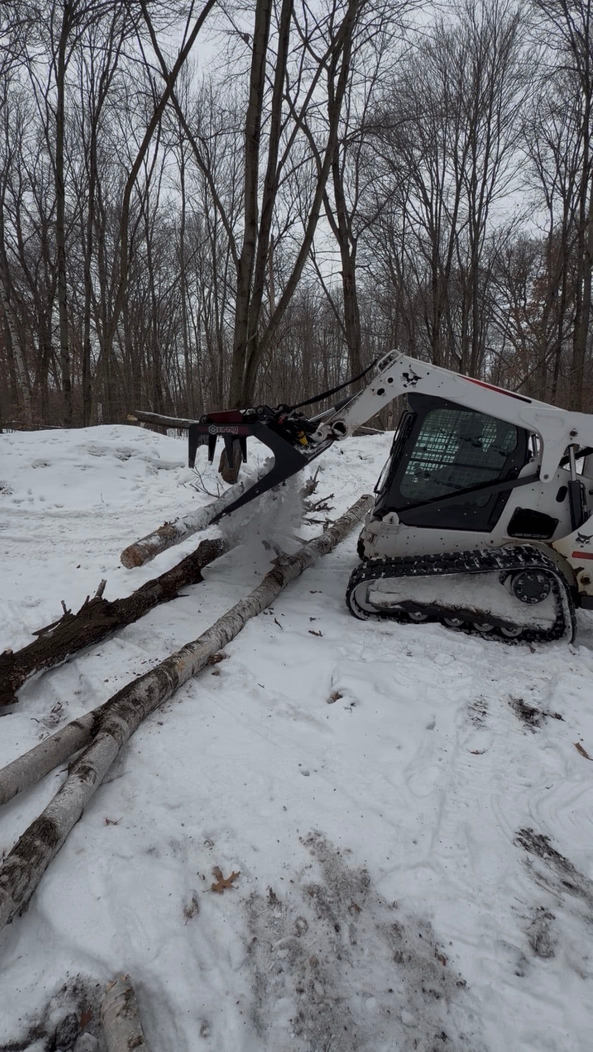 Project Dead Fall Cleanup in Oak Grove image