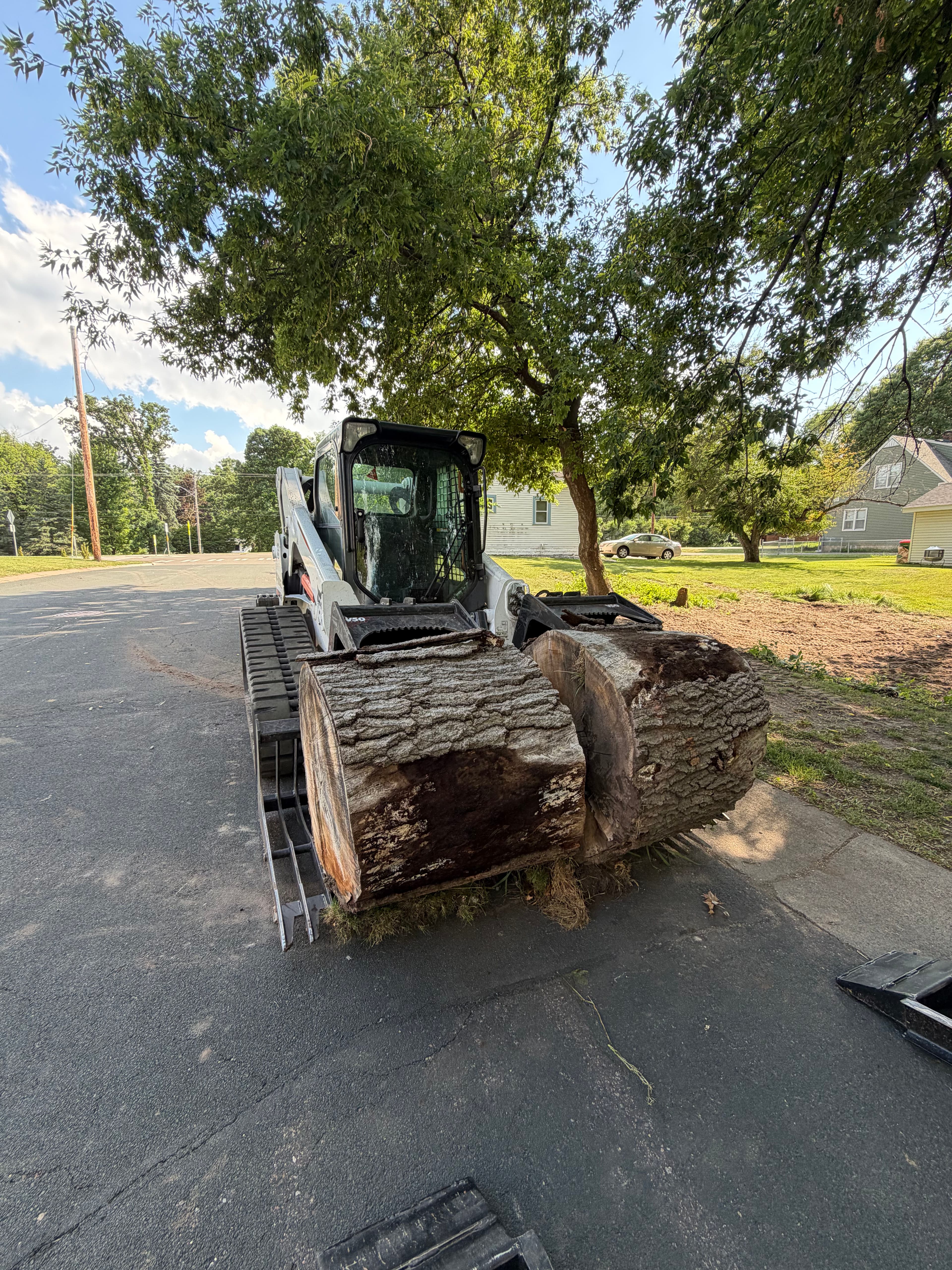 Project Minnesota Tree Removal Work From Schwieters Land Services image