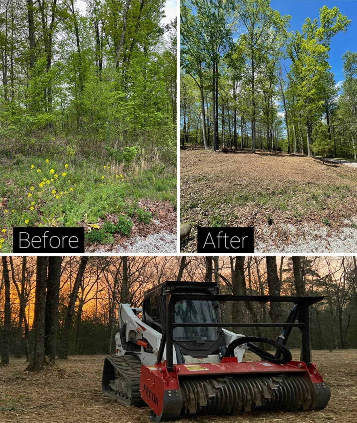 Blog post Invasive Brush Clearing and Removal in Minnesota image