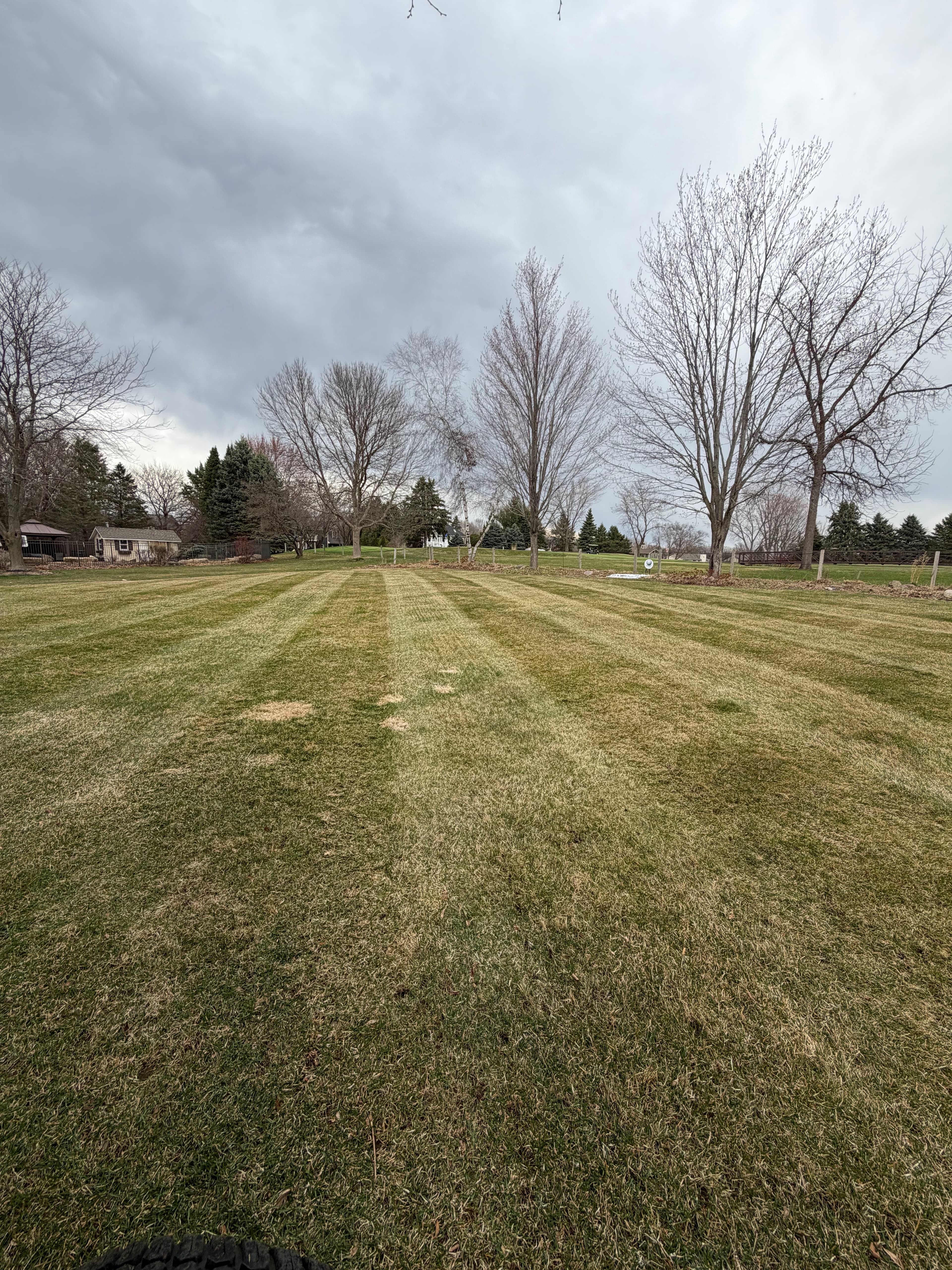 Project Spring Cleanup and Dethatching in the Oak Glen Neighborhood image