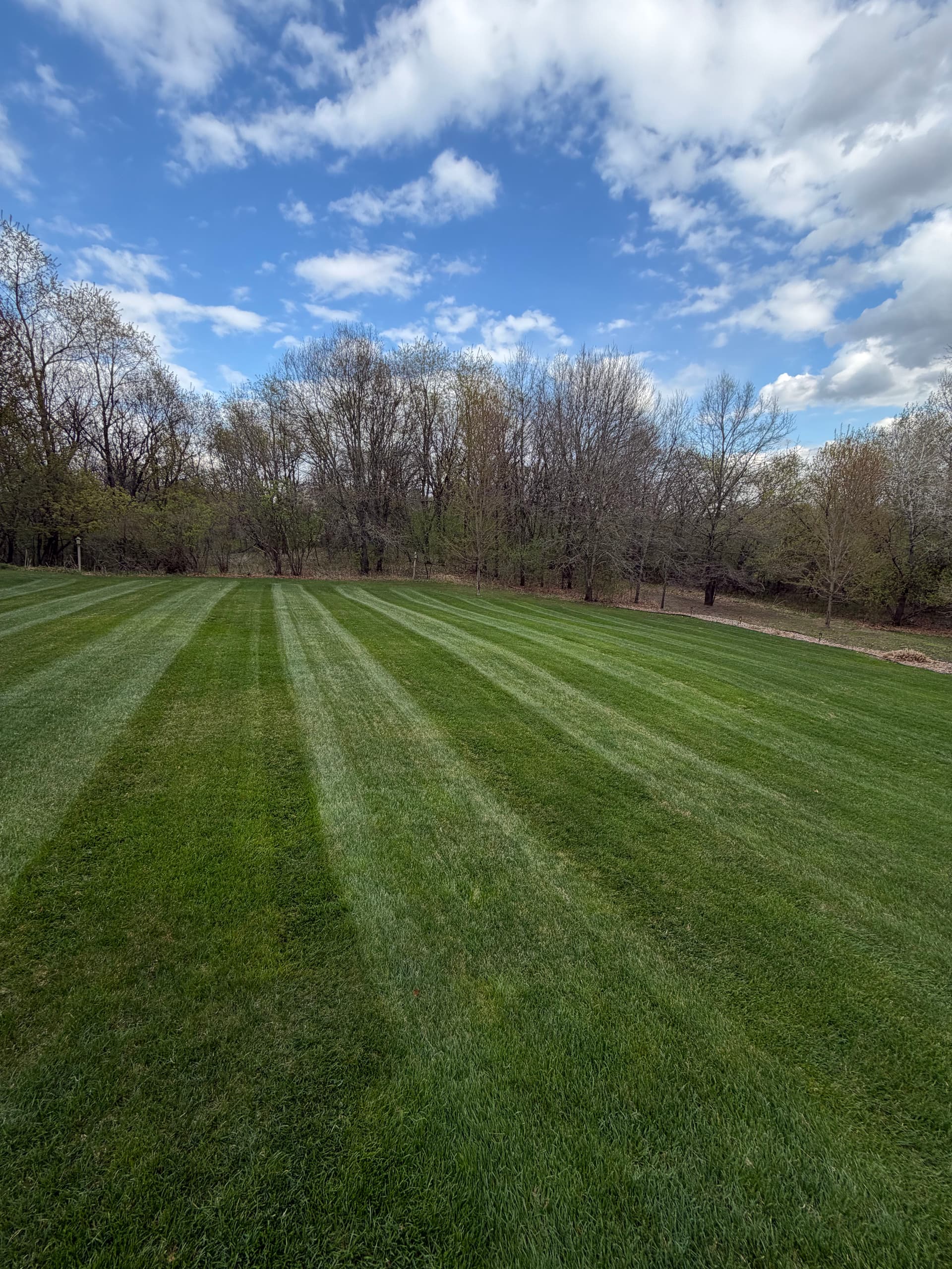 Weekly Lawn Service Across the Metro - Spots Filling Fast image