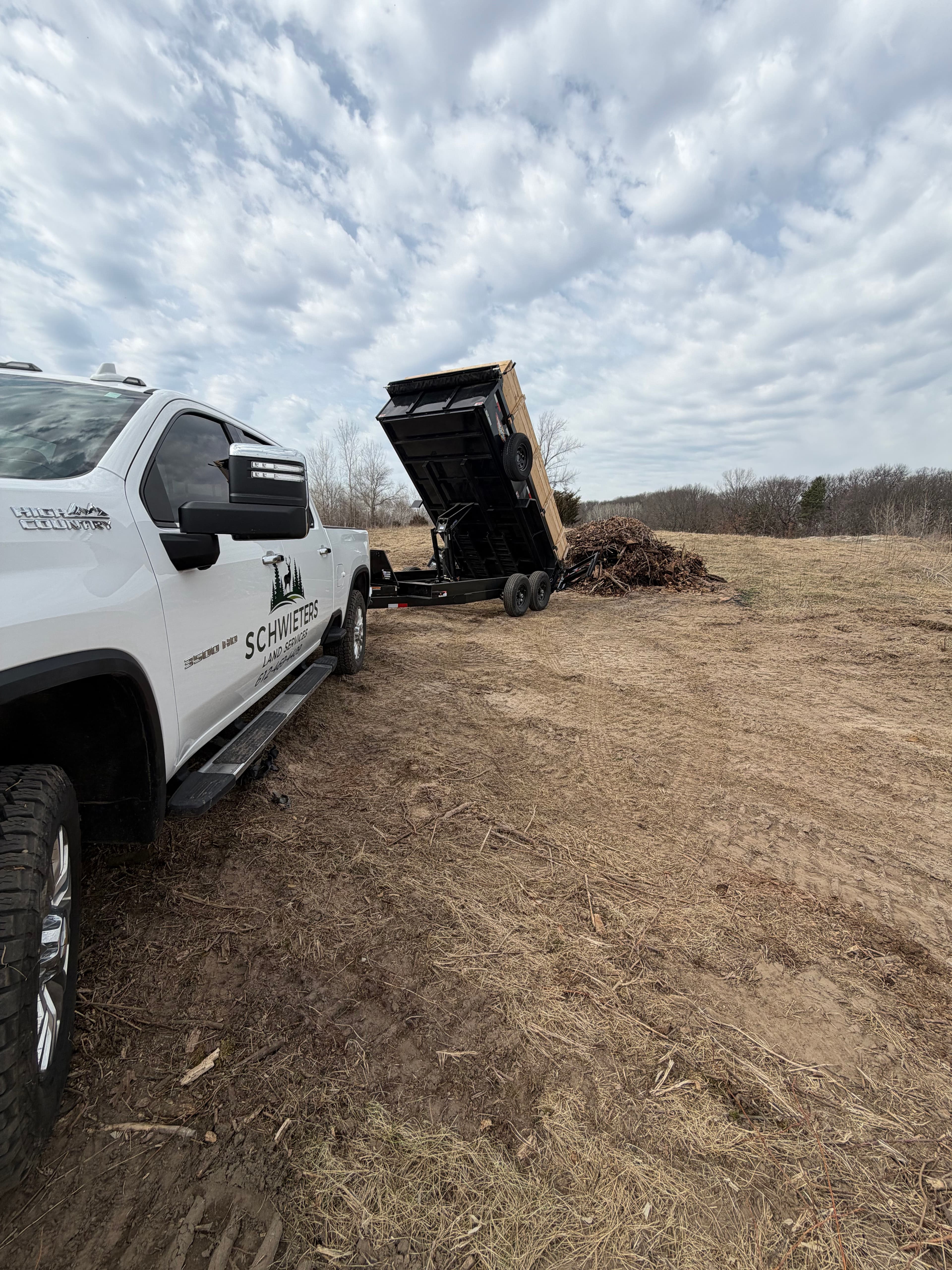 Project Efficient Tree Removal and Deadfall Cleanup in Dellwood MN image