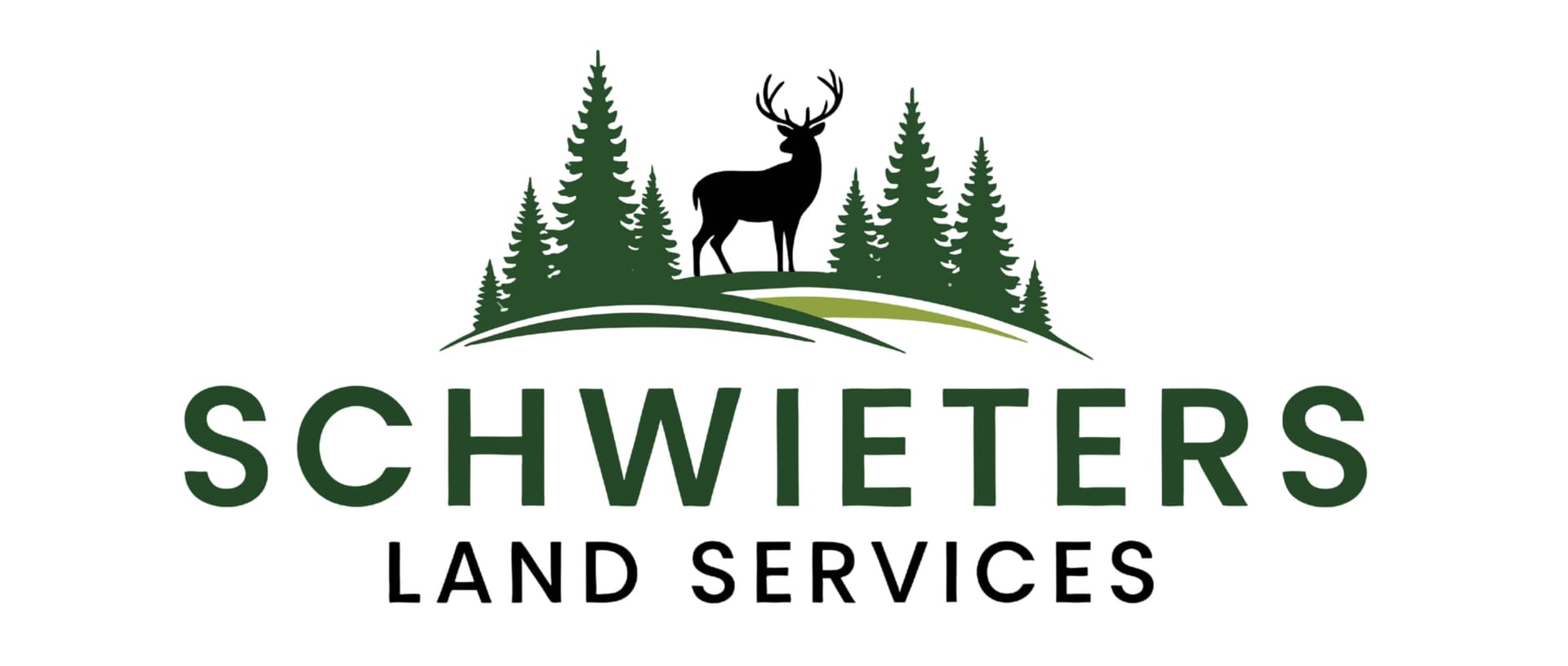 Oak Tree Removal Enhances Sunlight in Ham Lake