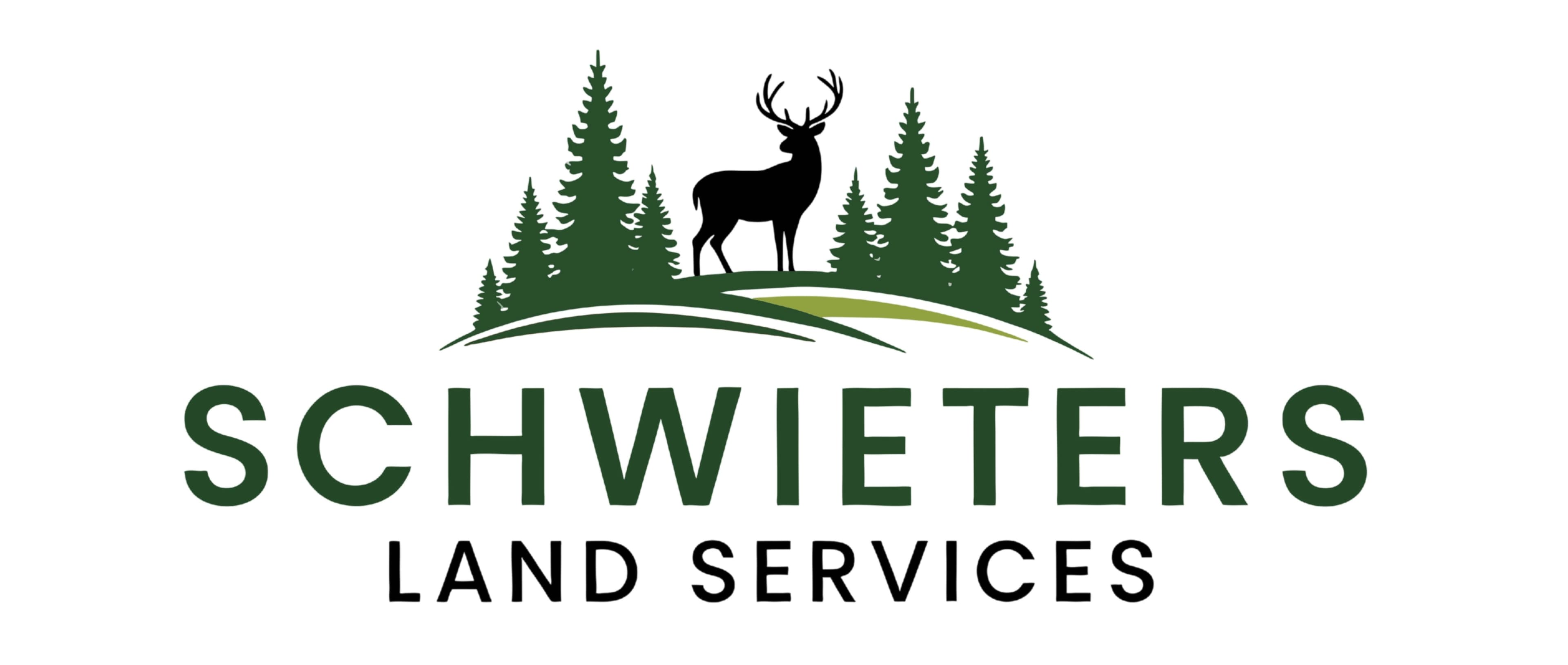 Project Oak Tree Removal Enhances Sunlight in Ham Lake image