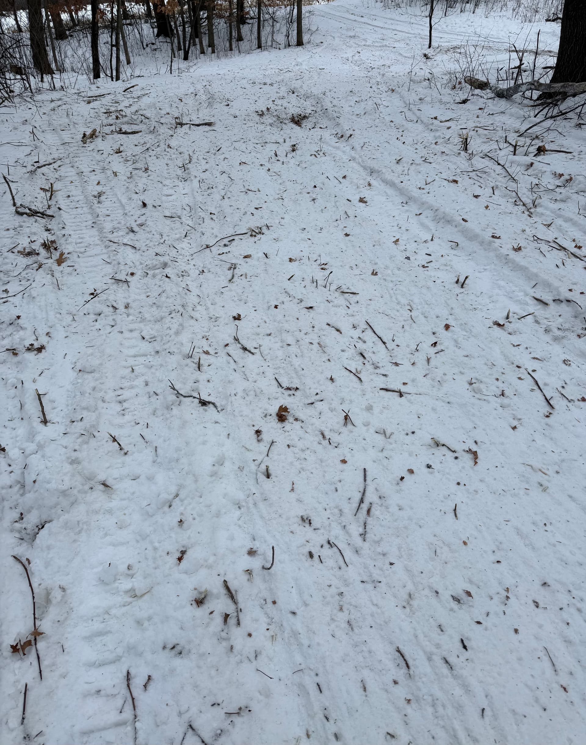 Brush Clearing in Anoka County