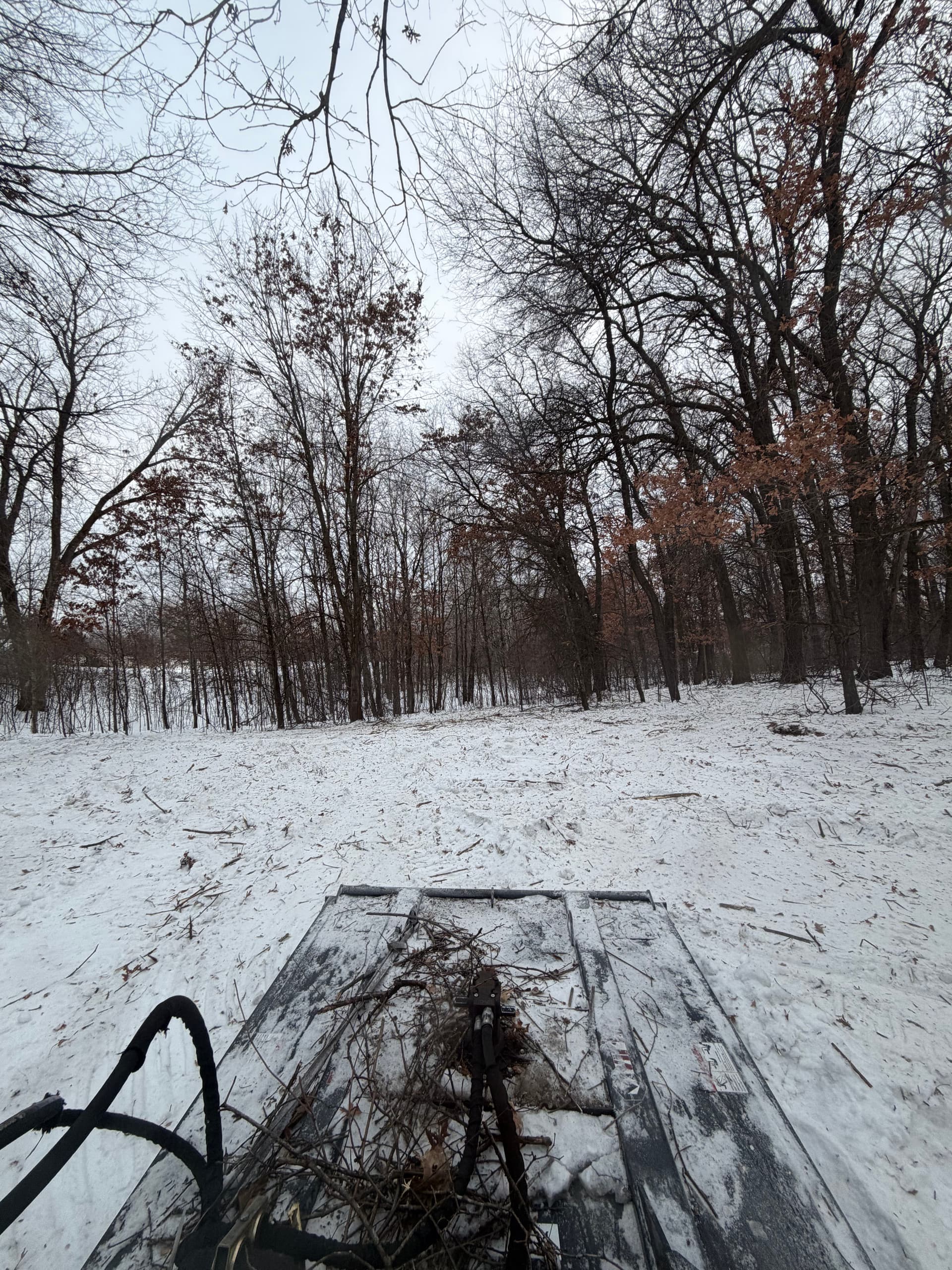 Essential Winter Brush Clearing for Wildlife Habitat