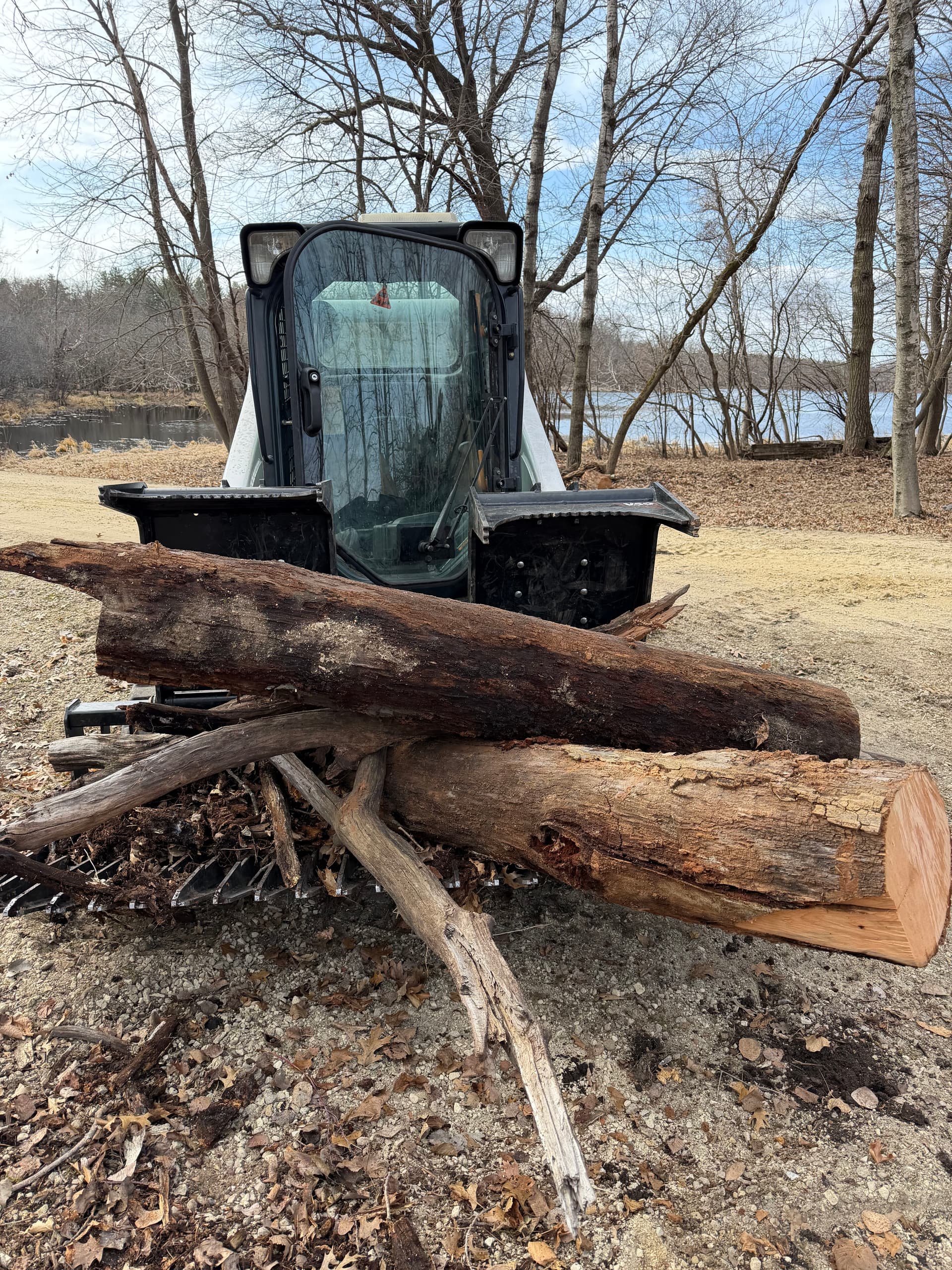 Comprehensive Land Clearing Project in Grant MN image