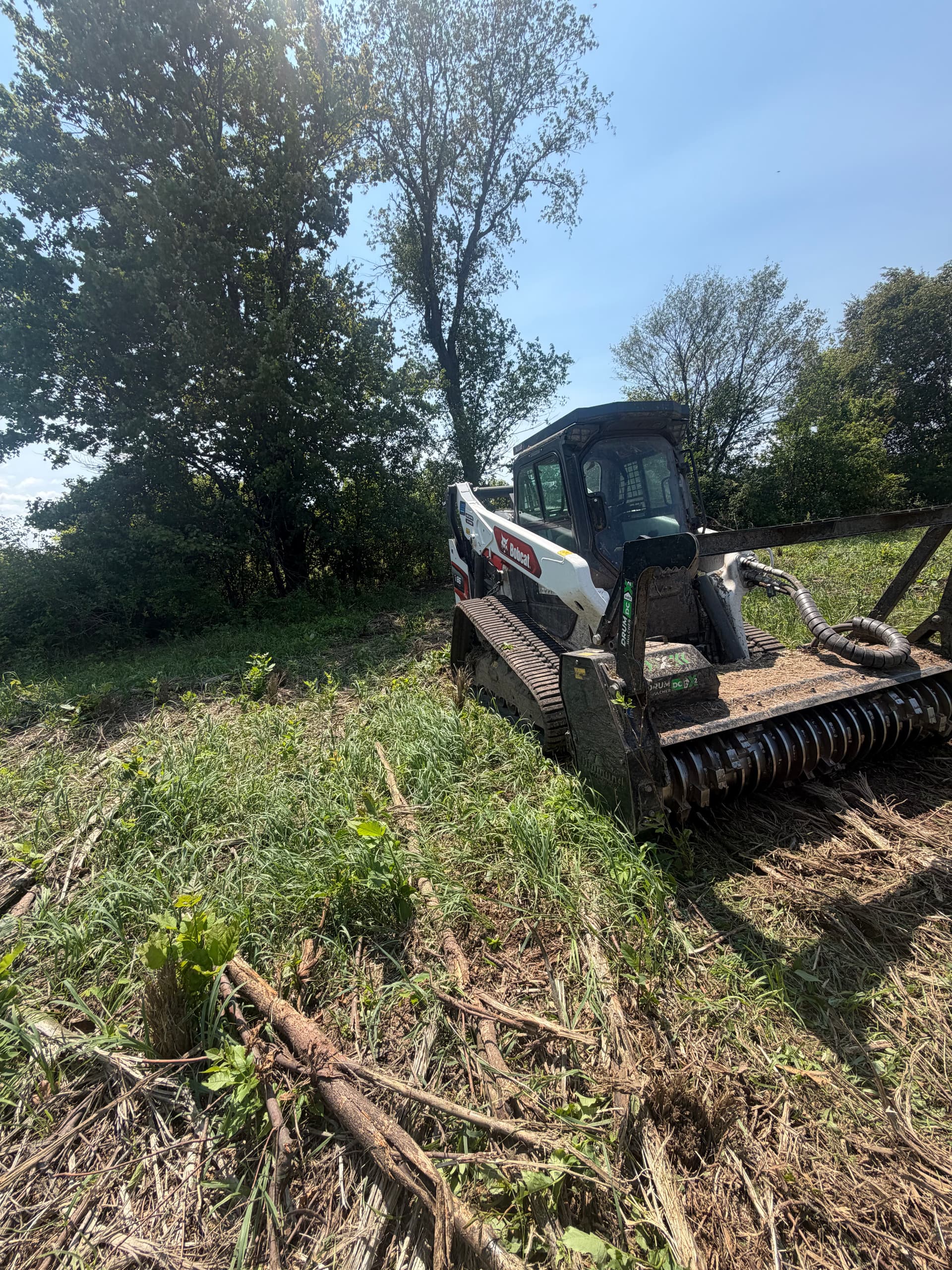 Forestry Mulching That Turns Overgrown Land Into Usable Property image