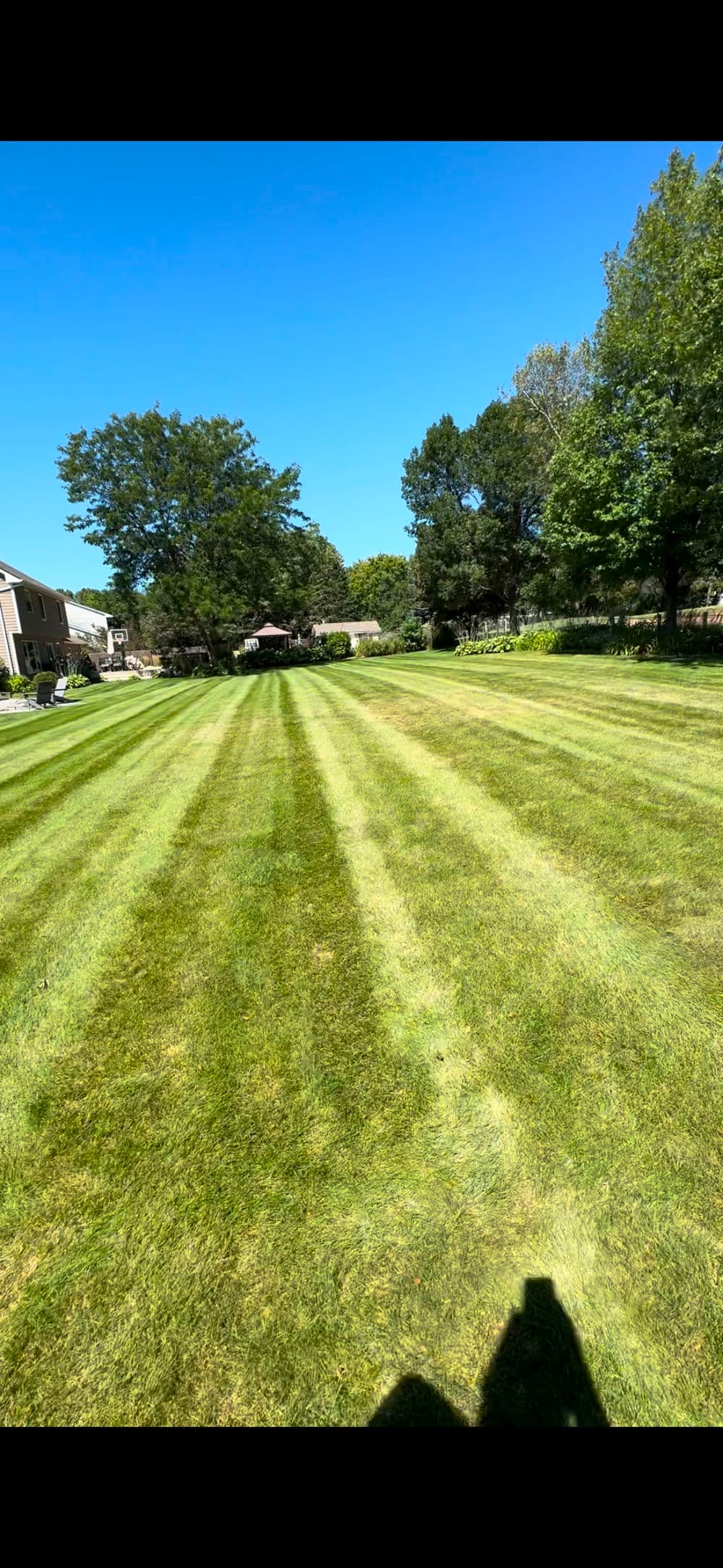 Lush green lawn with freshly mowed stripes under clear blue sky and trees in the background.
