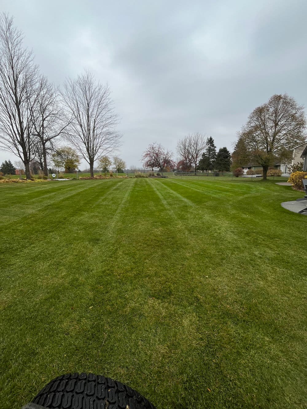 Lush green lawn with neatly marked lines under overcast sky and surrounding trees.