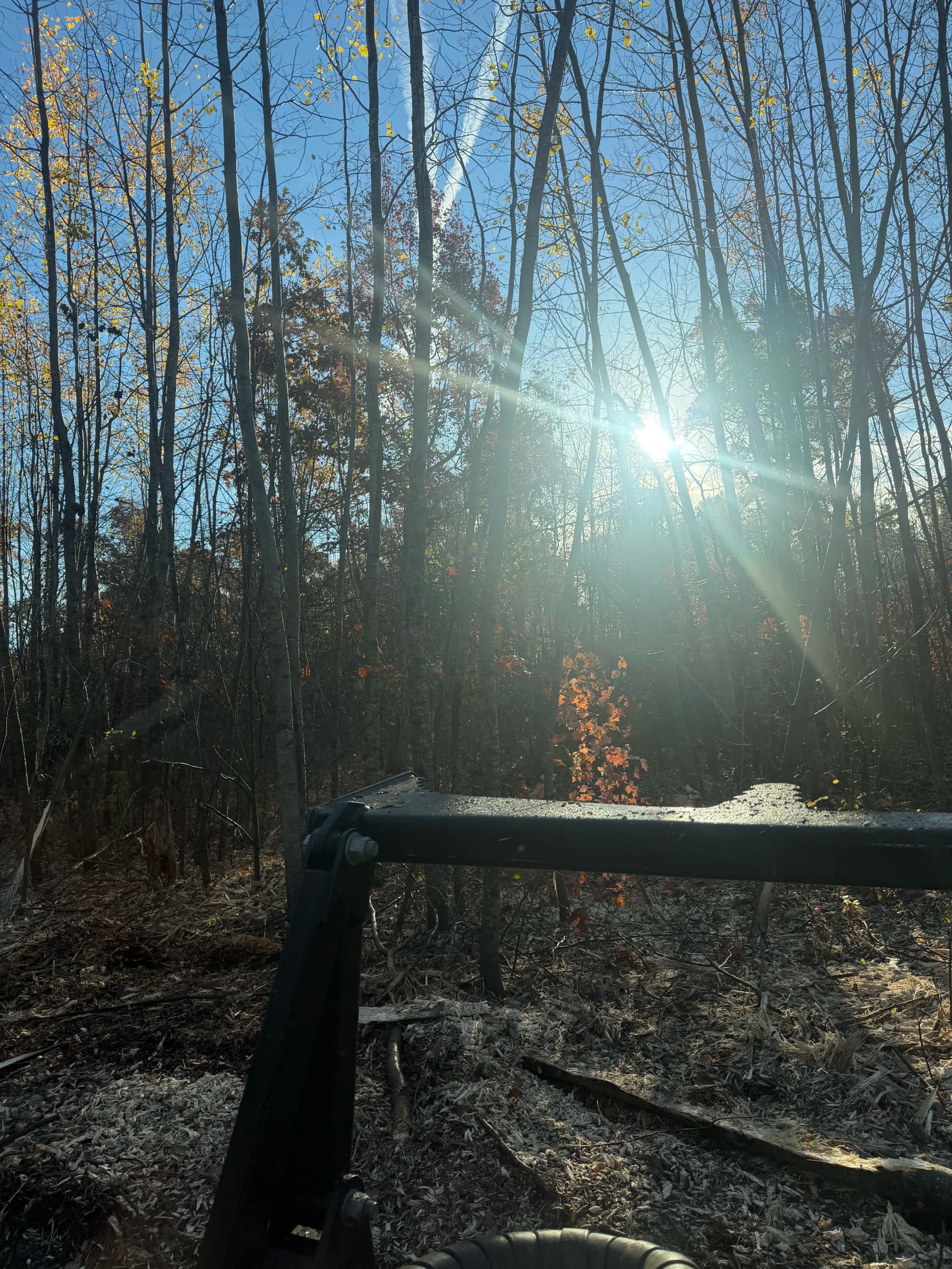 Gallery photos for Forestry Mulching Clears Cabin Site and Trails in Danbury Wisconsin: Image #1