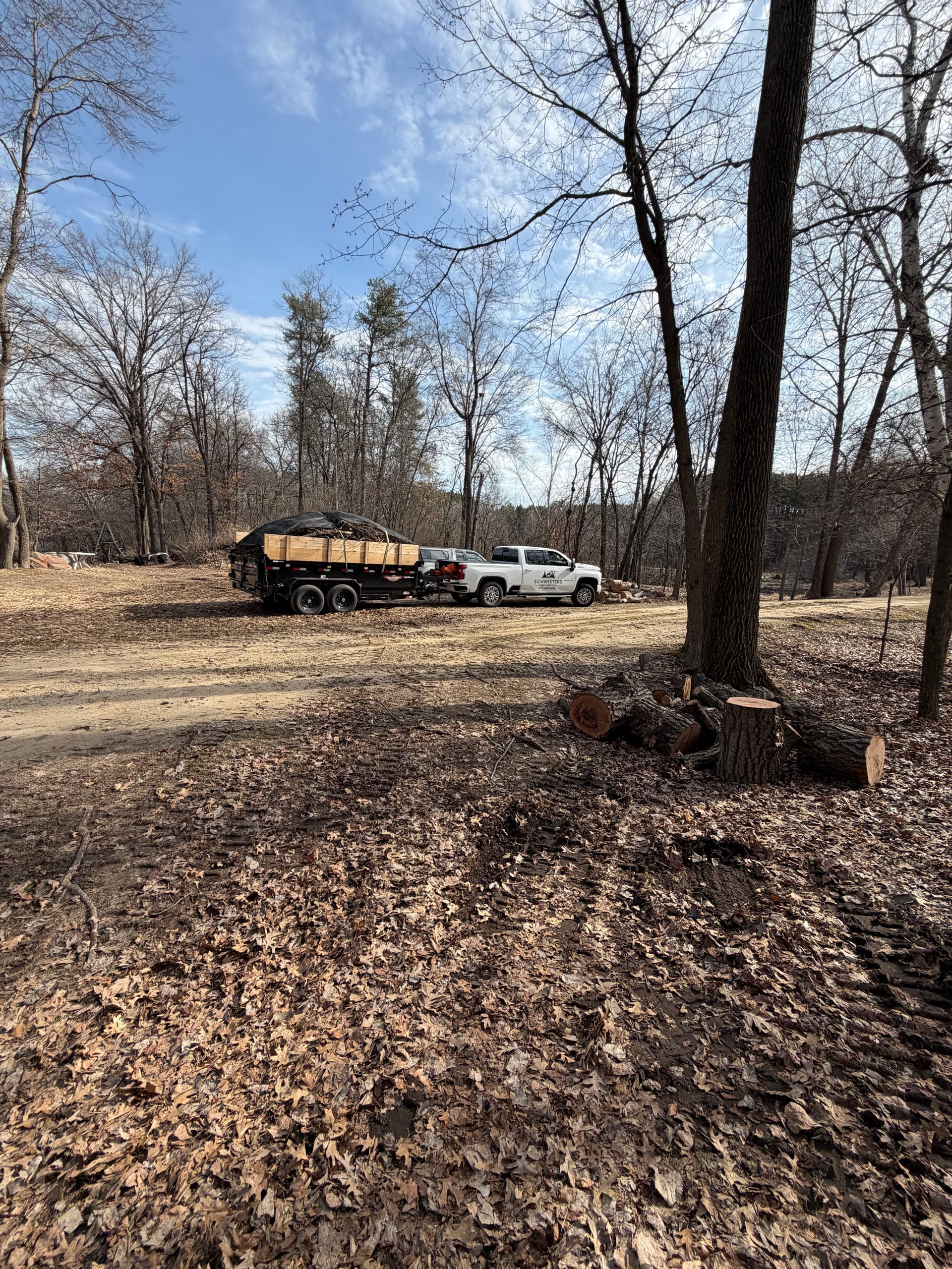 Gallery photos for Efficient Tree Removal and Deadfall Cleanup in Dellwood MN: Image #1