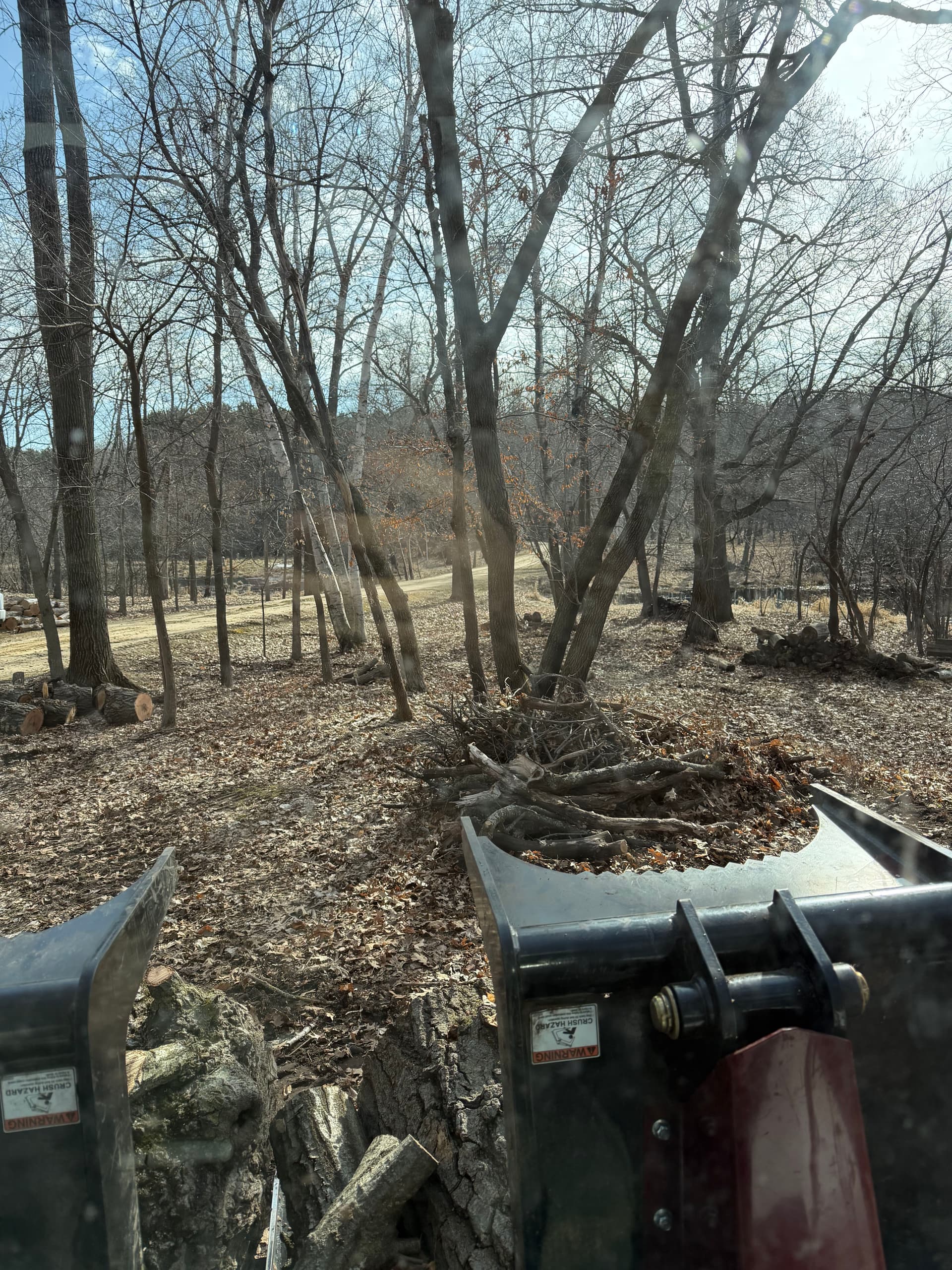 Gallery photos for Efficient Tree Removal and Deadfall Cleanup in Dellwood MN: Image #2