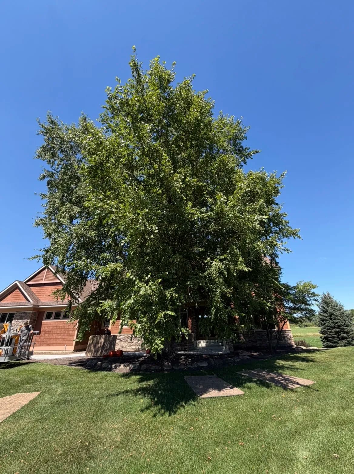 Large Tree Removal Right Next to a Home in Dellwood MN image