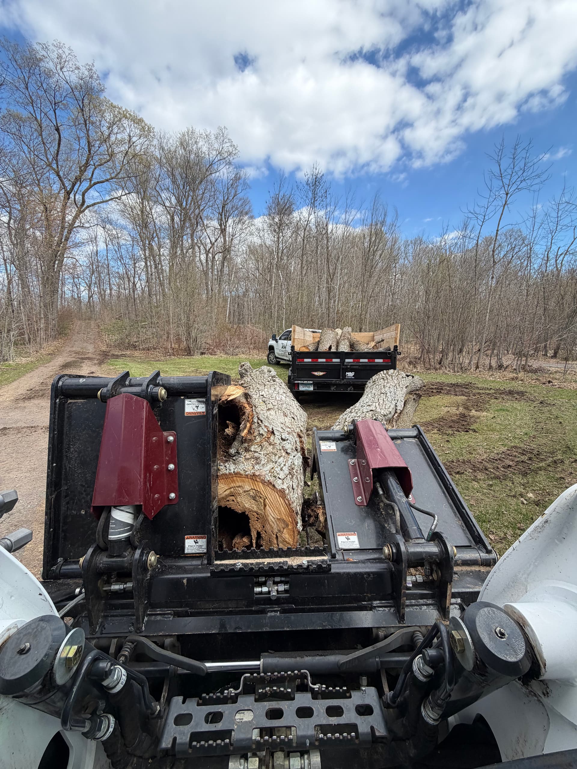 Gallery photos for Minnesota Tree Removal Work From Schwieters Land Services: Image #1