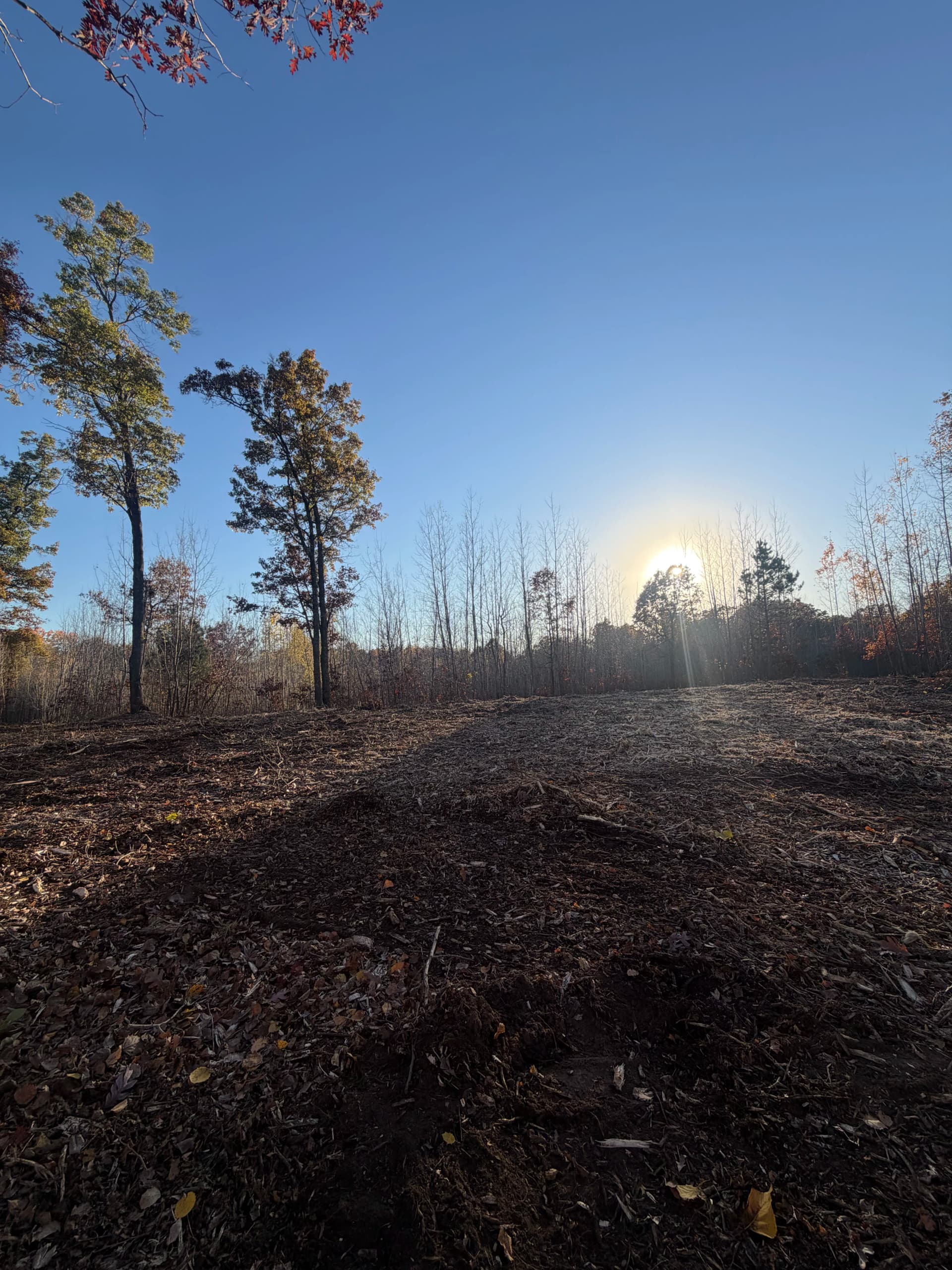 Gallery photos for Forestry Mulching Clears Cabin Site and Trails in Danbury Wisconsin: Image #7