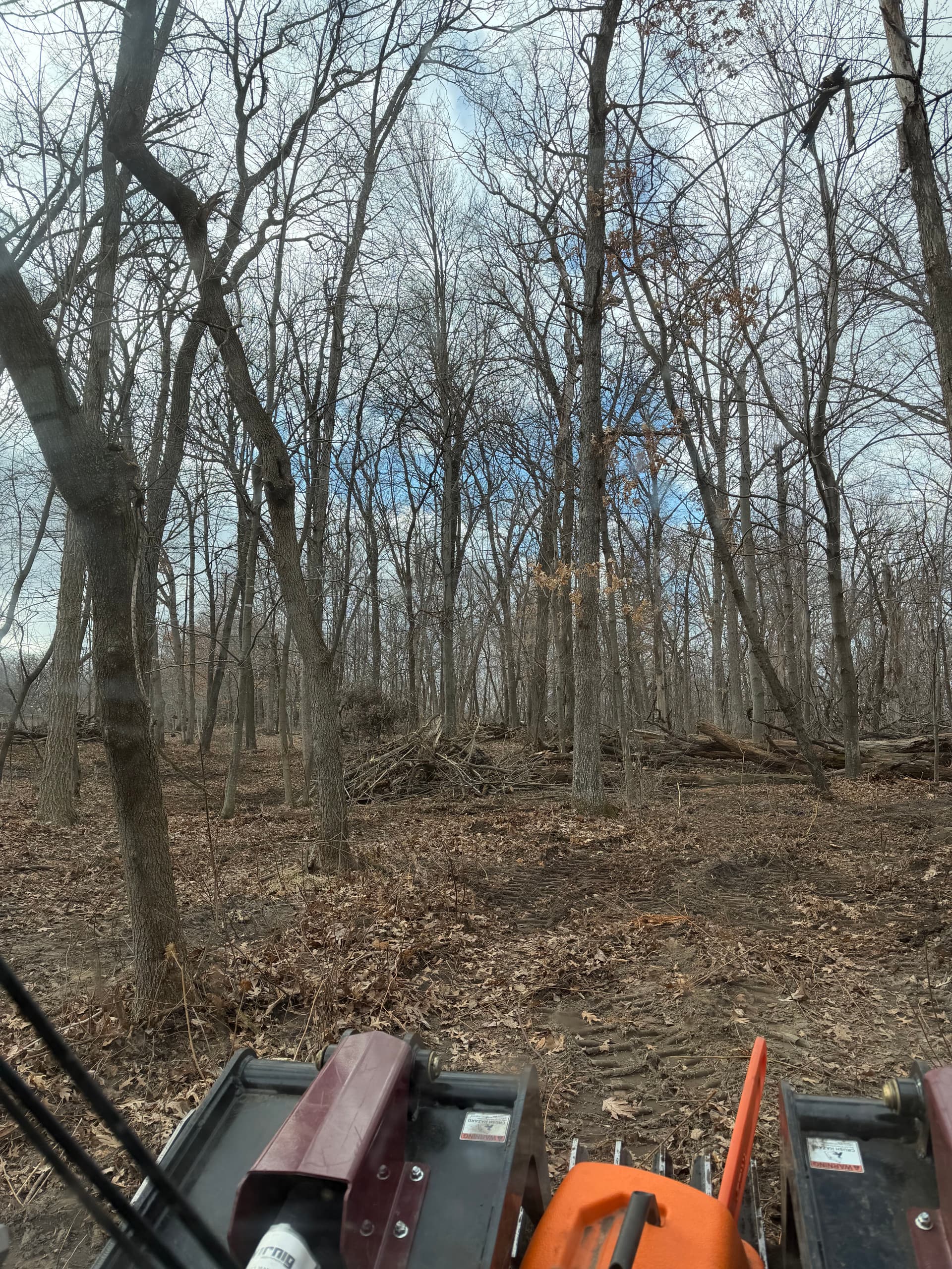 Gallery photos for Transforming Wooded Properties in East Bethel: Image #2