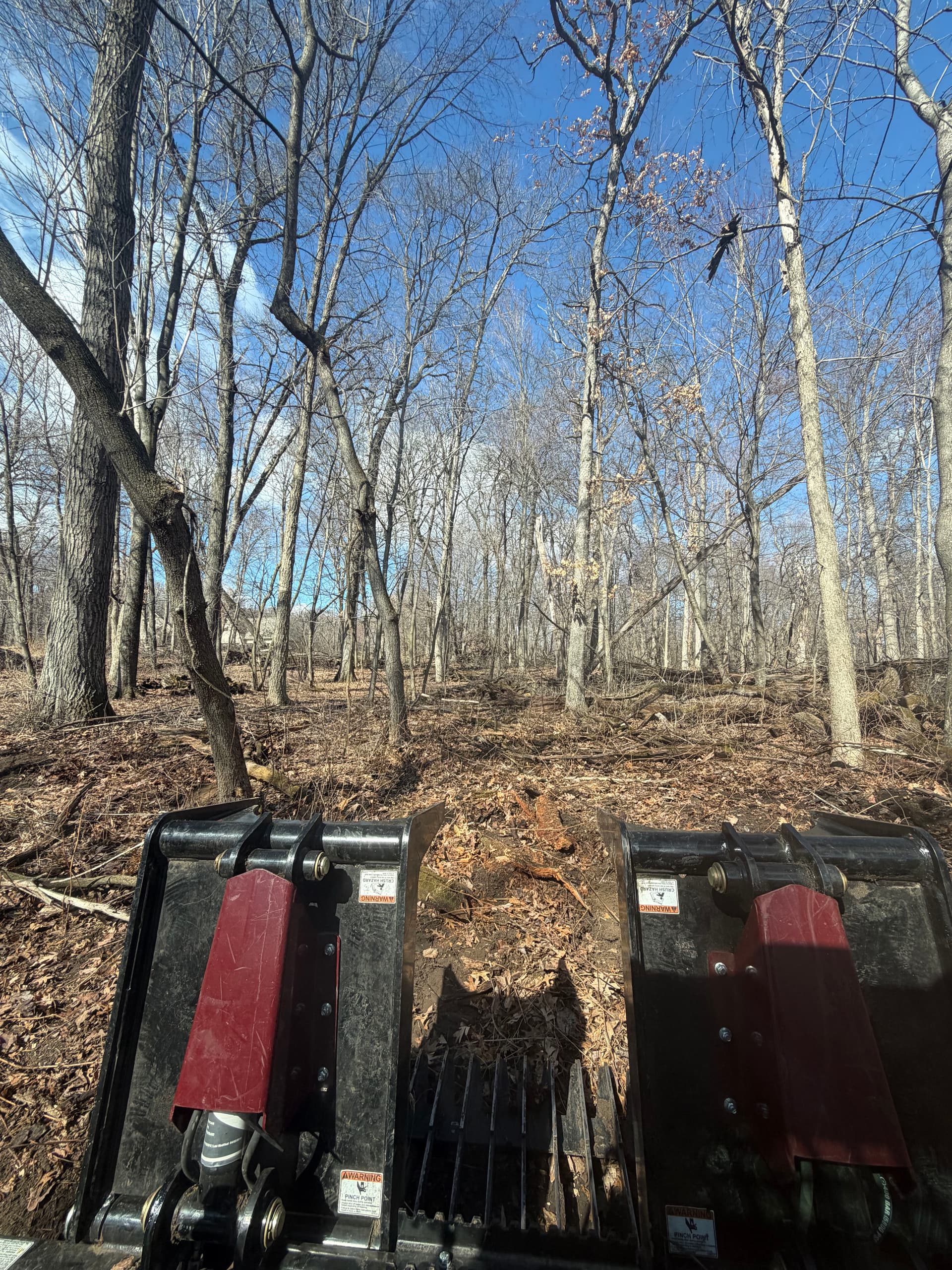 Gallery photos for Transforming Wooded Properties in East Bethel: Image #1