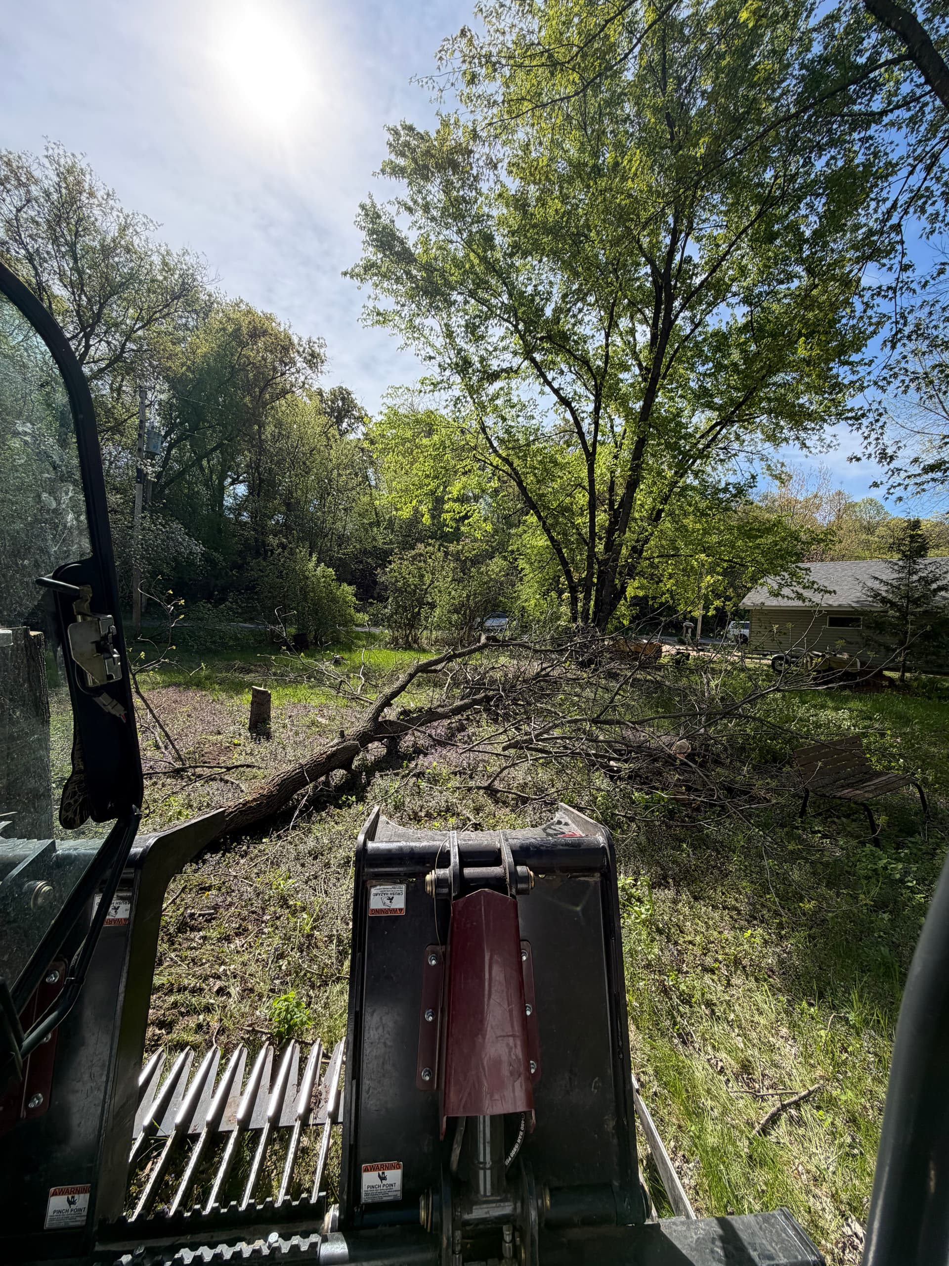 Gallery photos for Minnesota Tree Removal Work From Schwieters Land Services: Image #3
