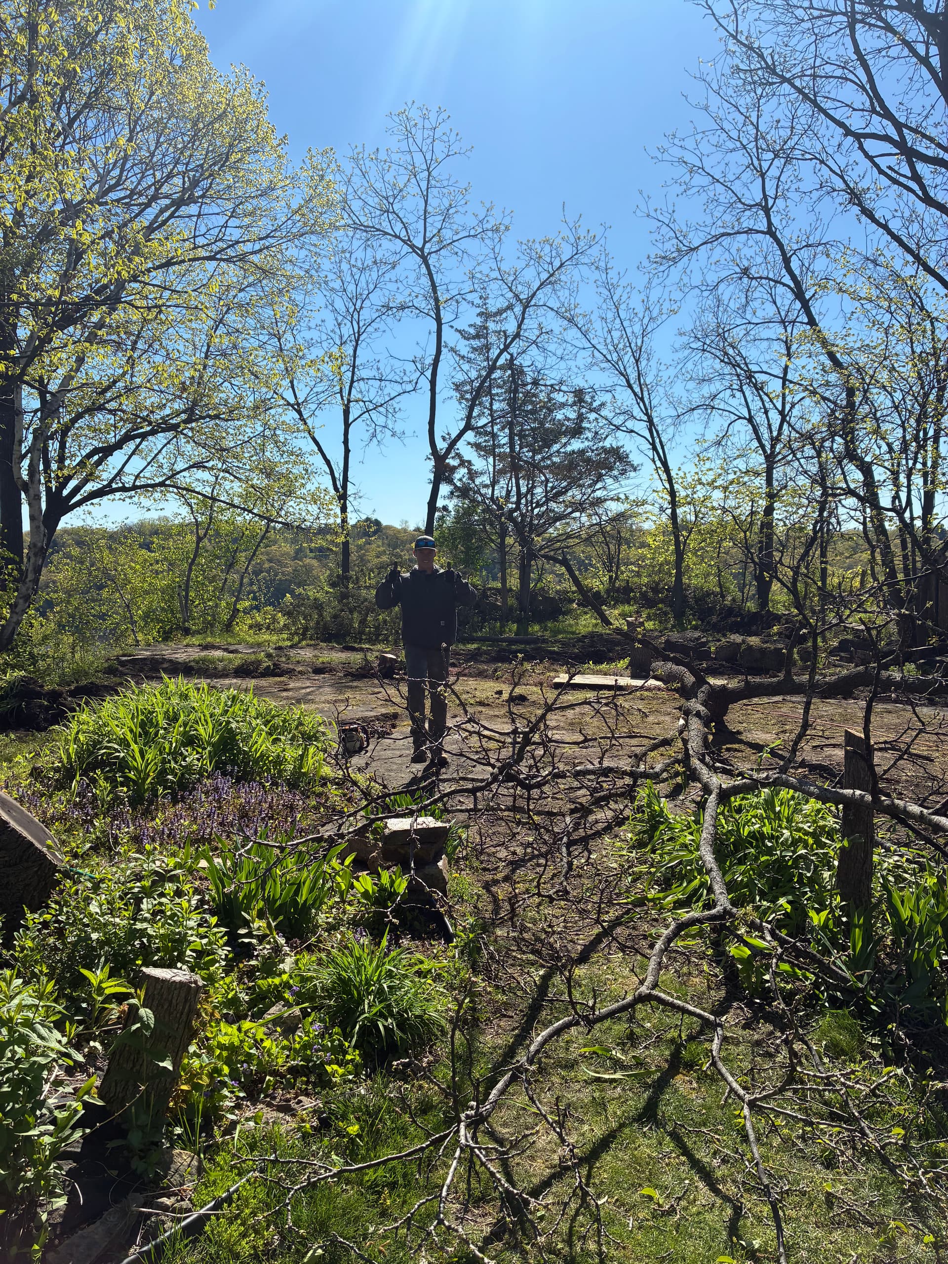 Gallery photos for Minnesota Tree Removal Work From Schwieters Land Services: Image #5
