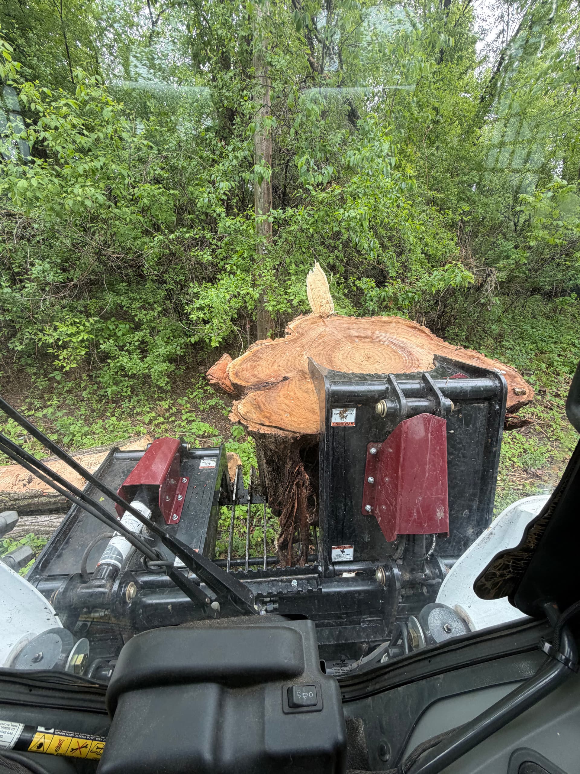 Gallery photos for Minnesota Tree Removal Work From Schwieters Land Services: Image #4