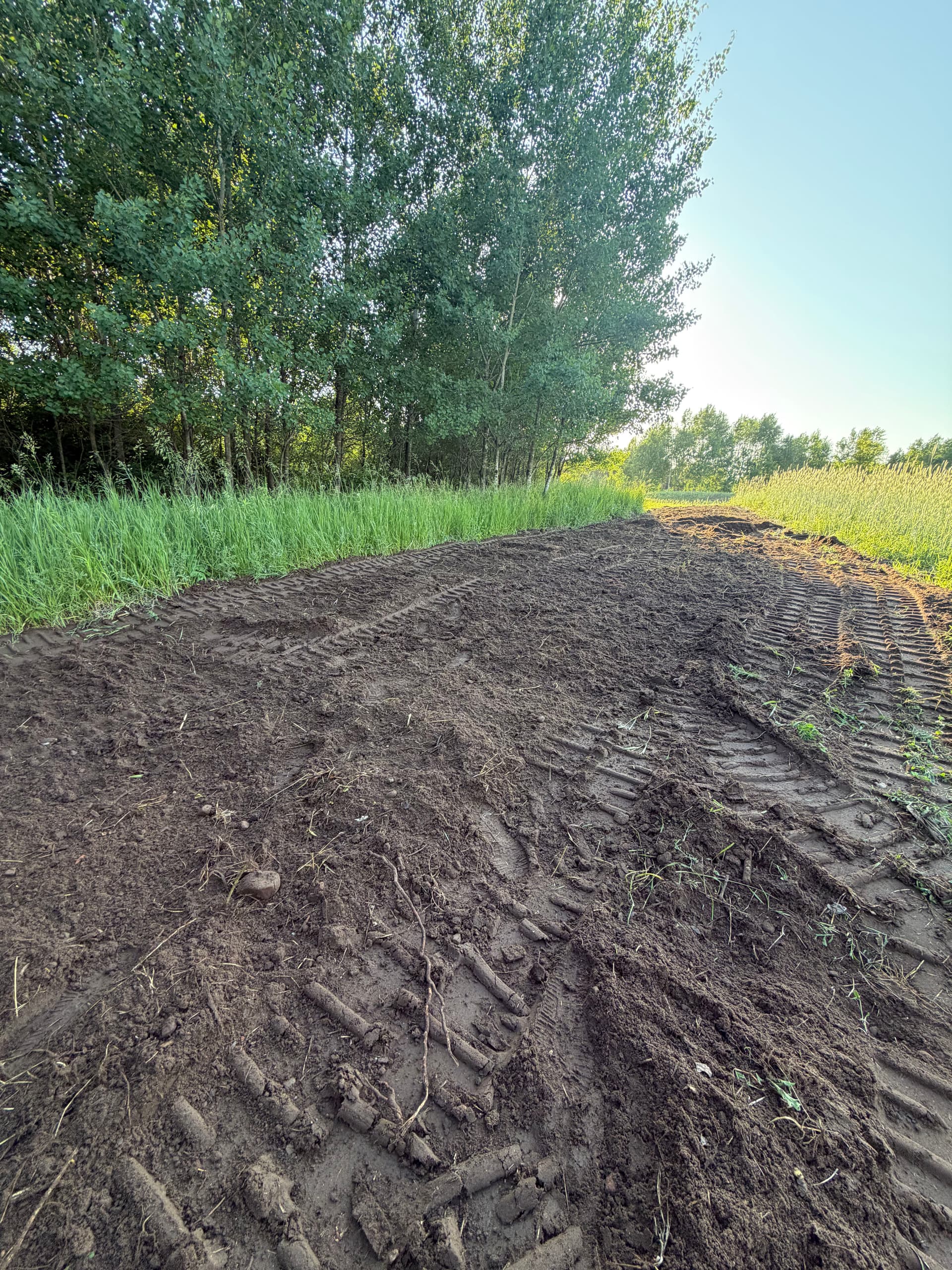 Gallery photos for Food Plot Tilling and Seedbed Prep Done Right: Image #1