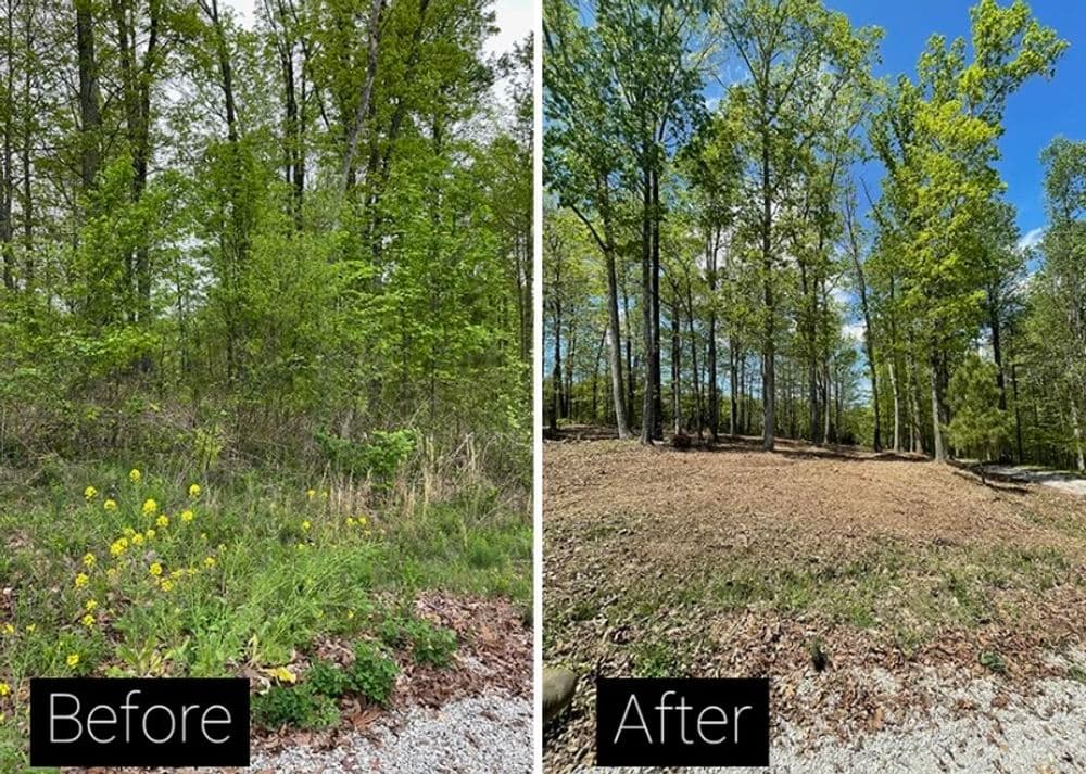 Before and after landscape transformation showing cleared trees and maintained ground.